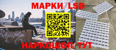 ПСИЛОЦИБИНОВЫЕ ГРИБЫ Дубна