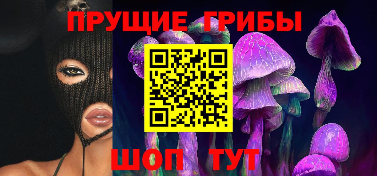 Псилоцибиновые грибы мицелий Лесосибирск