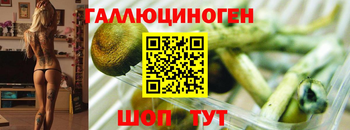 Псилоцибиновые грибы MAGIC MUSHROOMS  Псилоцибиновые грибы ЛСД  купить закладку  Лесосибирск  Вход с VPN 