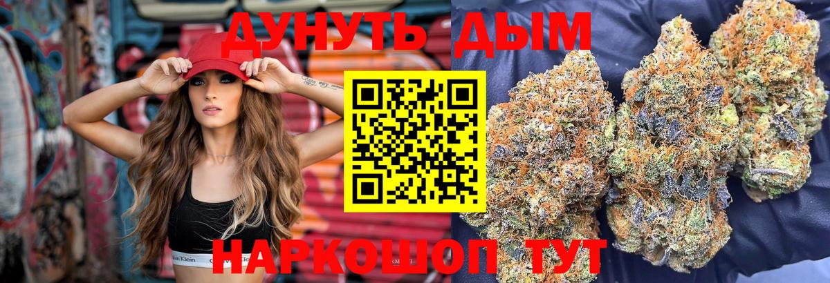 Бошки Шишки планчик Лесосибирск